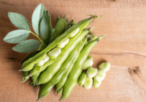 kacang parang