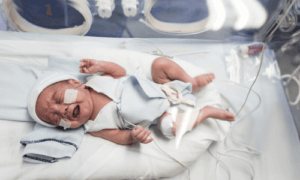 paraben free baby product